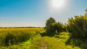 Mazury pełne żółtego koloru, pola rzepaku, maj 2024 r. - zdjęcie 20