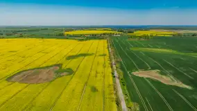 Rzepakowe pola widoczne z lotu ptaka, maj 2024 r. - zdjęcie 61