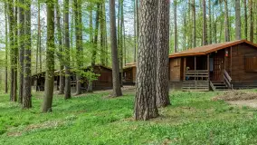 Ośrodek Wypoczynkowy Wodnik w Rucianem Nidzie: Idealne Miejsce na Wakacyjny Wypoczynek na Mazurach - zdjęcie 24