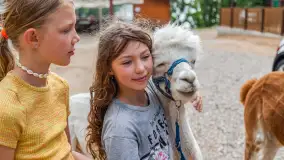 Dzień Dziecka w Ośrodku Wypoczynkowym Wodnik, czerwiec 2024 r. - zdjęcie 7