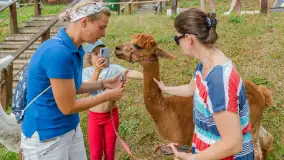 Dzień Dziecka w Ośrodku Wypoczynkowym Wodnik, czerwiec 2024 r. - zdjęcie 12