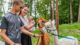 Dzień Dziecka w Ośrodku Wypoczynkowym Wodnik, czerwiec 2024 r. - zdjęcie 2