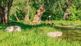 Plaża nad jeziorem Rydzówka pod koniec maja 2024 r. - zdjęcie 13