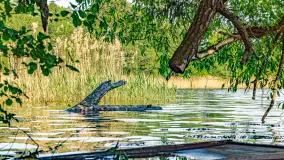 Plaża nad jeziorem Rydzówka pod koniec maja 2024 r. - zdjęcie 20