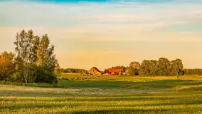 Mazury w wieczornych promieniach słońca, maj 2024 r. - zdjęcie 3