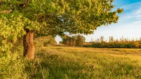 Mazury w wieczornych promieniach słońca, maj 2024 r. - zdjęcie 32