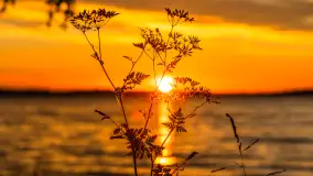 Zachód słońca w przystani Rajcocha, lipiec 2024 r. - zdjęcie 30