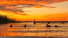 Zachód słońca w przystani Rajcocha, lipiec 2024 r. - zdjęcie 50