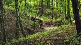 Przeprawy offroad'owe 4x4, Węgorzewo Las Vegas 2022 - zdjęcie 26