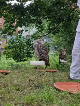 Średniowieczne klimaty gościły w Rynie na Mazurach - zdjęcie 41