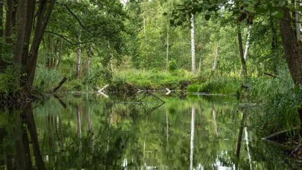 Rejs Mazury24 Omegą po Sapinie, sierpień 2024 r. - zdjęcie 5