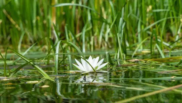 Rejs Mazury24 Omegą po Sapinie, sierpień 2024 r. - zdjęcie 7