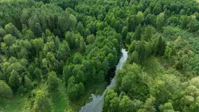 Rejs Mazury24 Omegą po Sapinie, sierpień 2024 r. - zdjęcie 29