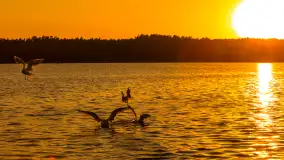 Mazury przed zachodem słońca nad jeziorem Śniardwy i Mikołajskie, wrzesień 2024 r. - zdjęcie 2