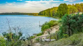 Puszcza Piska na początku września 2024 r. - zdjęcie 16