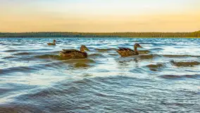 Puszcza Piska na początku września 2024 r. - zdjęcie 5