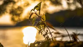 Puszcza Piska na początku września 2024 r. - zdjęcie 85