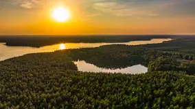 Puszcza Piska na początku września 2024 r. - zdjęcie 135