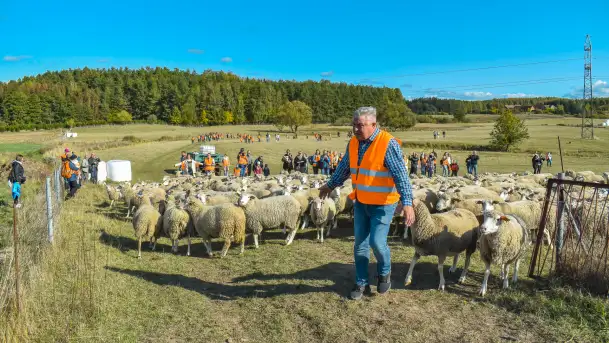 Fotorelacja z Mazurskiego Redyku w Sołdanach, październik 2024 - zdjęcie 1