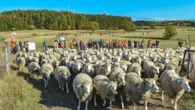 Fotorelacja z Mazurskiego Redyku w Sołdanach, październik 2024 - zdjęcie 25