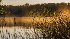 Wschód słońca nad jeziorem Iławki, październik 2024 r. - zdjęcie 7