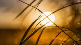 Wschód słońca nad jeziorem Iławki, październik 2024 r. - zdjęcie 25