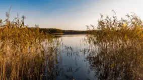 Wschód słońca nad jeziorem Iławki, październik 2024 r. - zdjęcie 5