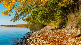 Jesień nad jeziorem Niegocin, październik 2024 r. - zdjęcie 28