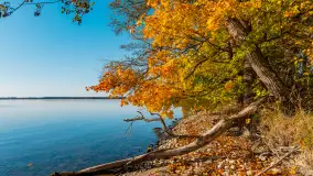 Jesień nad jeziorem Niegocin, październik 2024 r. - zdjęcie 17