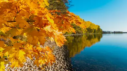 Jesień nad jeziorem Niegocin, październik 2024 r.