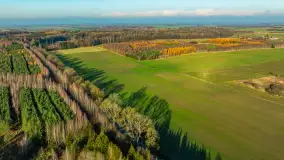 Kolory Mazur w drugiej połowie listopada, 2024 r. - zdjęcie 15