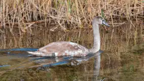 Krutynia na początku listopada 2024 - zdjęcie 15