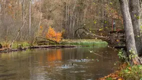 Krutynia na początku listopada 2024 - zdjęcie 7