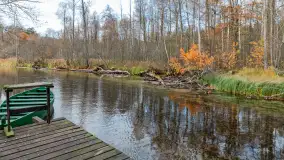 Krutynia na początku listopada 2024 - zdjęcie 22