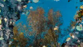 Podsumowanie mazurskiej, złotej jesieni 2024, cz. I - zdjęcie 8