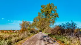 Podsumowanie mazurskiej, złotej jesieni 2024, cz. I - zdjęcie 52