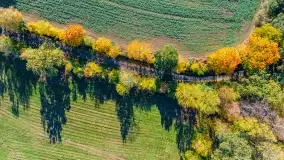 Podsumowanie mazurskiej, złotej jesieni 2024, cz. I - zdjęcie 40