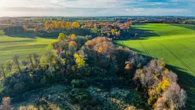 Podsumowanie mazurskiej, złotej jesieni 2024, cz. I - zdjęcie 49