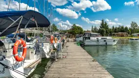 Tło dla Mew, sezon 2024 r. - zdjęcie 18