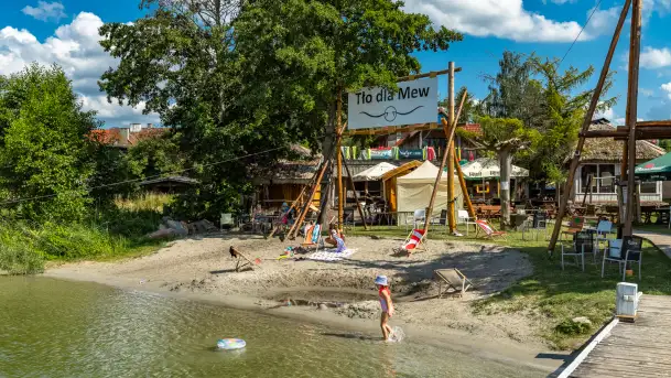 Tło dla Mew, sezon 2024 r.