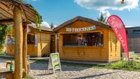 Tło dla Mew, sezon 2024 r. - zdjęcie 19