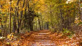 Podsumowanie mazurskiej, złotej jesieni 2024, cz. II - zdjęcie 15