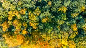 Podsumowanie mazurskiej, złotej jesieni 2024, cz. II - zdjęcie 41