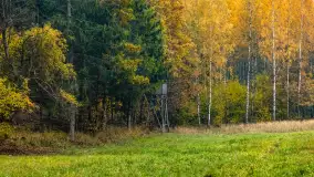 Podsumowanie mazurskiej, złotej jesieni 2024, cz. III - zdjęcie 2