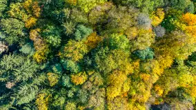 Podsumowanie mazurskiej, złotej jesieni 2024, cz. III - zdjęcie 24