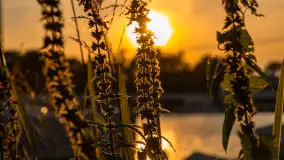 Zachód słońca, port 110, Iława - zdjęcie 8