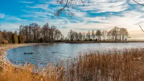 Słoneczny, późno jesienny dzień nad Niegocinem, grudzień 2024 r. - zdjęcie 20