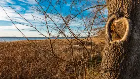 Słoneczny, późno jesienny dzień nad Niegocinem, grudzień 2024 r. - zdjęcie 9