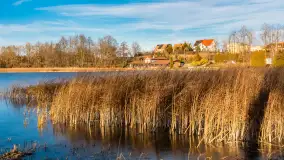 Słoneczny, późno jesienny dzień nad Niegocinem, grudzień 2024 r. - zdjęcie 26