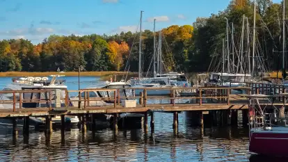 Łabędzi Ostrów w Pięknej Górze w połowie października 2024